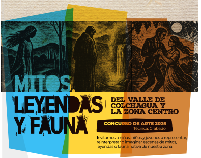 Concurso de Artes FDR -UC  2025